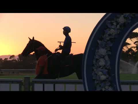 AZZ PUNTANO THROWS IN HIS HAT