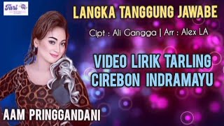 Download lagu Langka Tanggung Jawabe - Aam Pringgandani mp3 Download lagu Langka Tanggung Jawabe - Aam Pringgandani mp3