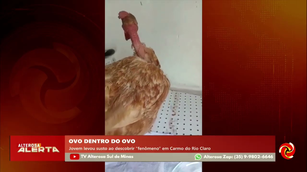 Jovem encontra um ovo dentro de outro em Carmo do Rio Claro