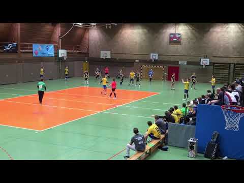 HSG Friedrichshafen-Fischbach I - Bregenz Handball II 38:19 (17:8)