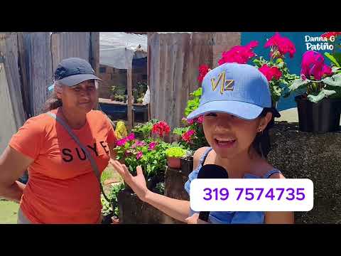 Descubriendo un hermoso vivero en Jesús María