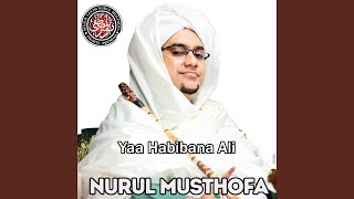 Download lagu Yaa Habibana Ali mp3