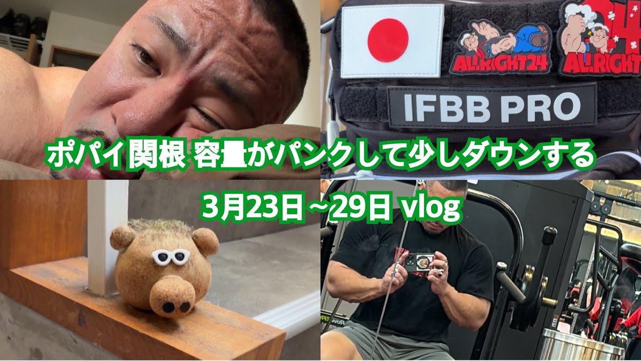ポパイ関根 容量がパンクして少しダウンする 3月23日〜29日vlog