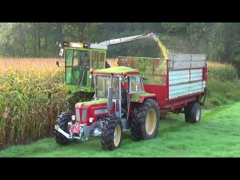 Landb. Van Deynze - Ursel - mais hakselen met Claas SF 80 en Schlüter Compact 950 TV