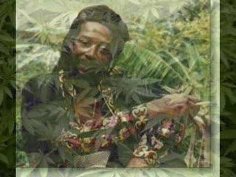 Peter Broggs - International Farmer