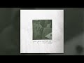 Modern Baseball You Re Gonna Miss It All Full Album