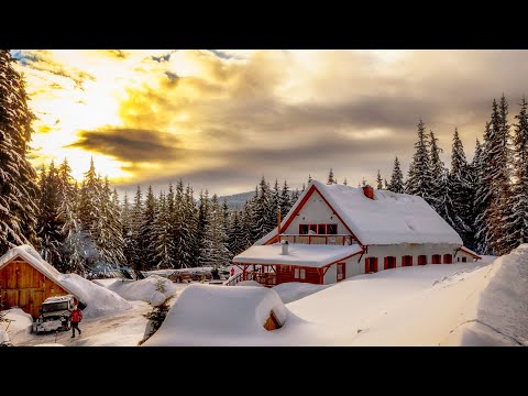 Cabana Bucin. Cazare in Bucin