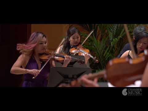 Bartók: Divertimento for String Orchestra, Sz. 113; III. Allegro assai