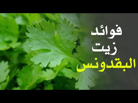 ما هي فوائد زيت البقدونس ؟