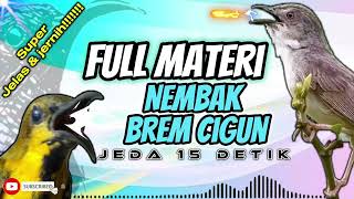 Download lagu MMASTERAN SOGON FULL NEMBAK BREM CIBLEK JERIH JELAS#sogon #sogongacor #sogonontong #sogokontonggacor mp3