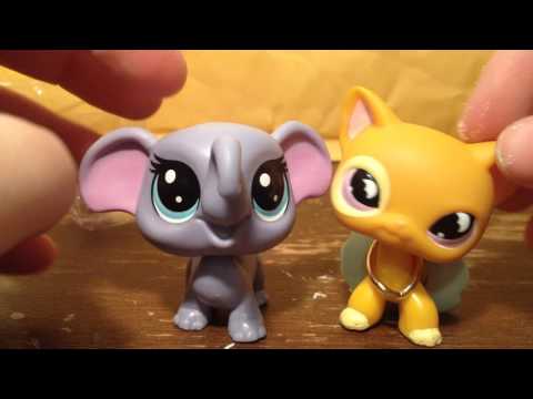 Lps: G4 toy review/Amazon package opening