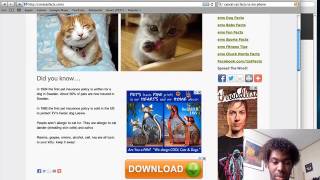 How To STOP Cat Facts Texts!