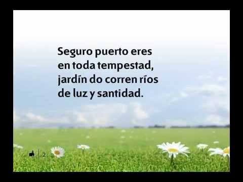 539 OH, DÍA DELICIOSO