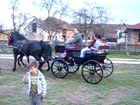 Simic Dragan Velika Obarska kocije