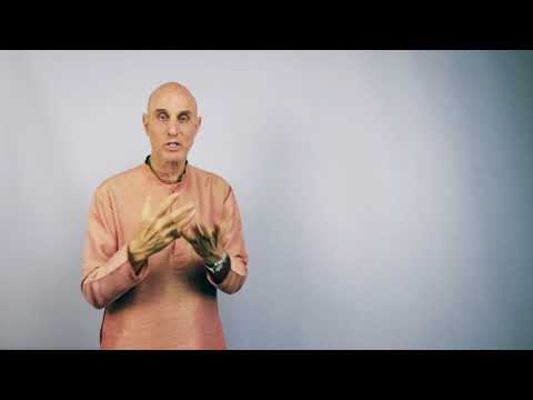 "Tricks of the Mind" by HG Mahatma Prabhu - February 19, 2018