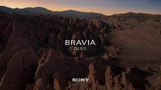 Sony: Bravia OLED