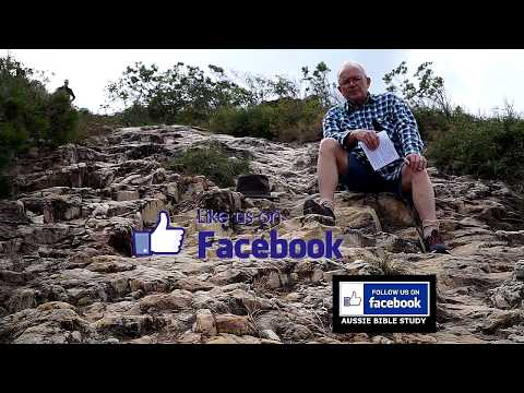 The Cares Of This World Choke Out The Word