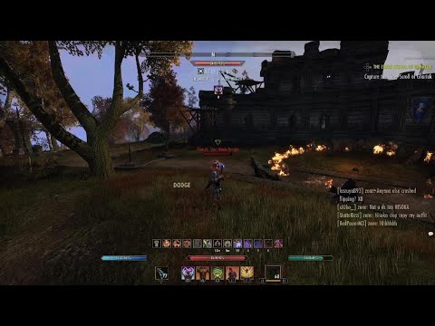 ESO learning the Magdk PvP