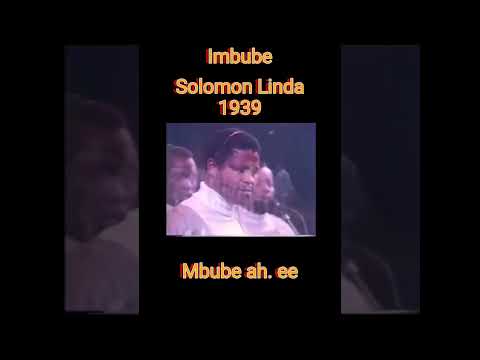 The Lion Sleeps Tonight | Mbube | Zulu harmony  #SolomonLinda #Mbube #ZuluVoices #AfricanLegends