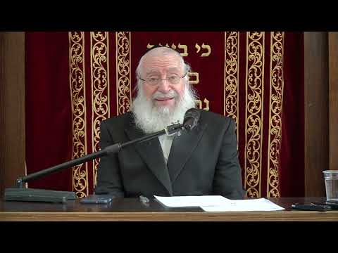 Amirah l'Nochri | Weekly Shiur by Harav Asher Weiss Shlita | Ki Sisa 5784