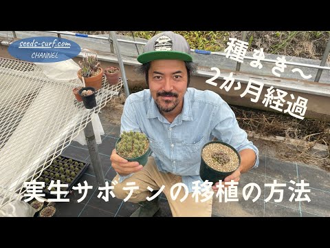 サボテンの繁殖: これが仕組みです トピックス