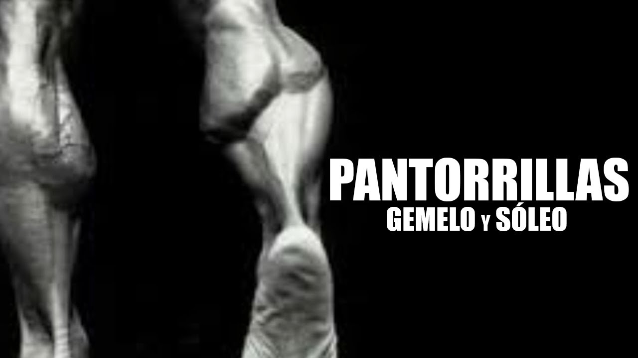 AUMENTAR PANTORRILLAS - ENTRENAMIENTO DE GEMELO Y SOLEO