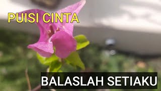 Download lagu Balaslah setiaku | Puisi Cinta mp3