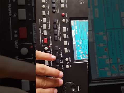 Novi stlye korg pa 300