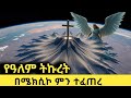 የዓለም ትኩረት ወደ ሜክሲኮ ሆኗል ምን ተፈጠረ