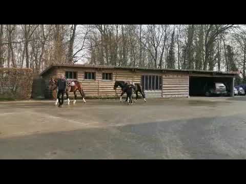 Stationstest 2020 in Avenches