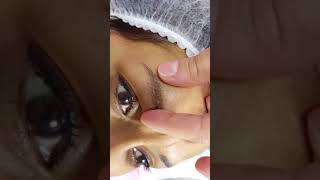 HEALED Asian Microbladed Eyebrows after 1 session by El Truchan @ Perfect Definition