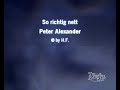 Peter Alexander - So richtig nett