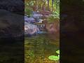 Building a NATURAL Waterfall! #backyard #landscapebuild #diy #garden#waterfall #aquascape