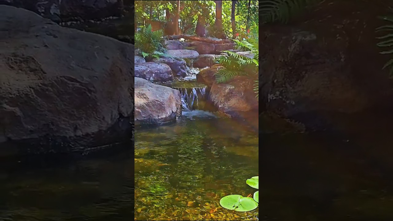 Building a NATURAL Waterfall! #backyard #landscapebuild #diy #garden#waterfall #aquascape