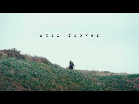 Chilli Beans. - star flower (Official Music Video)