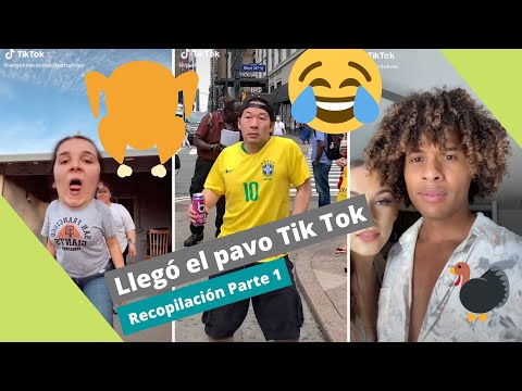 Llegó el pavo TikTok Recopilacion Parte 1