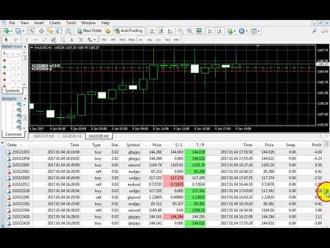 Best Forex Robot Forex EA Live Trading - Download