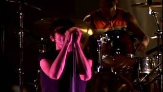 The Tears Seoul Live 01 &quot;The Asylum&quot;