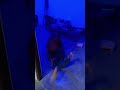 Kanchana 2 Bhutiya Darane Wala Video Shorts Viral Viralshorts