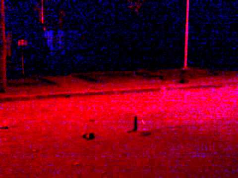 BERNUNCIO EN NAVIDAA