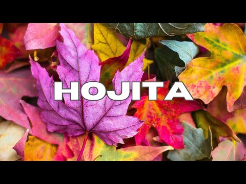 "HOJITA"🍀 Instrumental de Dembow | Polo Joa x Harryson x Jezzy 2023