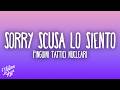 Pinguini Tattici Nucleari - Sorry Scusa Lo Siento