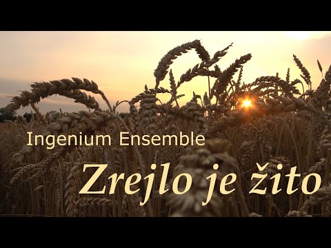 Ingenium Ensemble - Zrejlo je žito