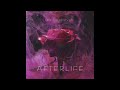 AfterLife Mr Vgrooves Latest Song
