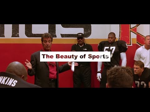 The Beauty of Sports | WonderSustain