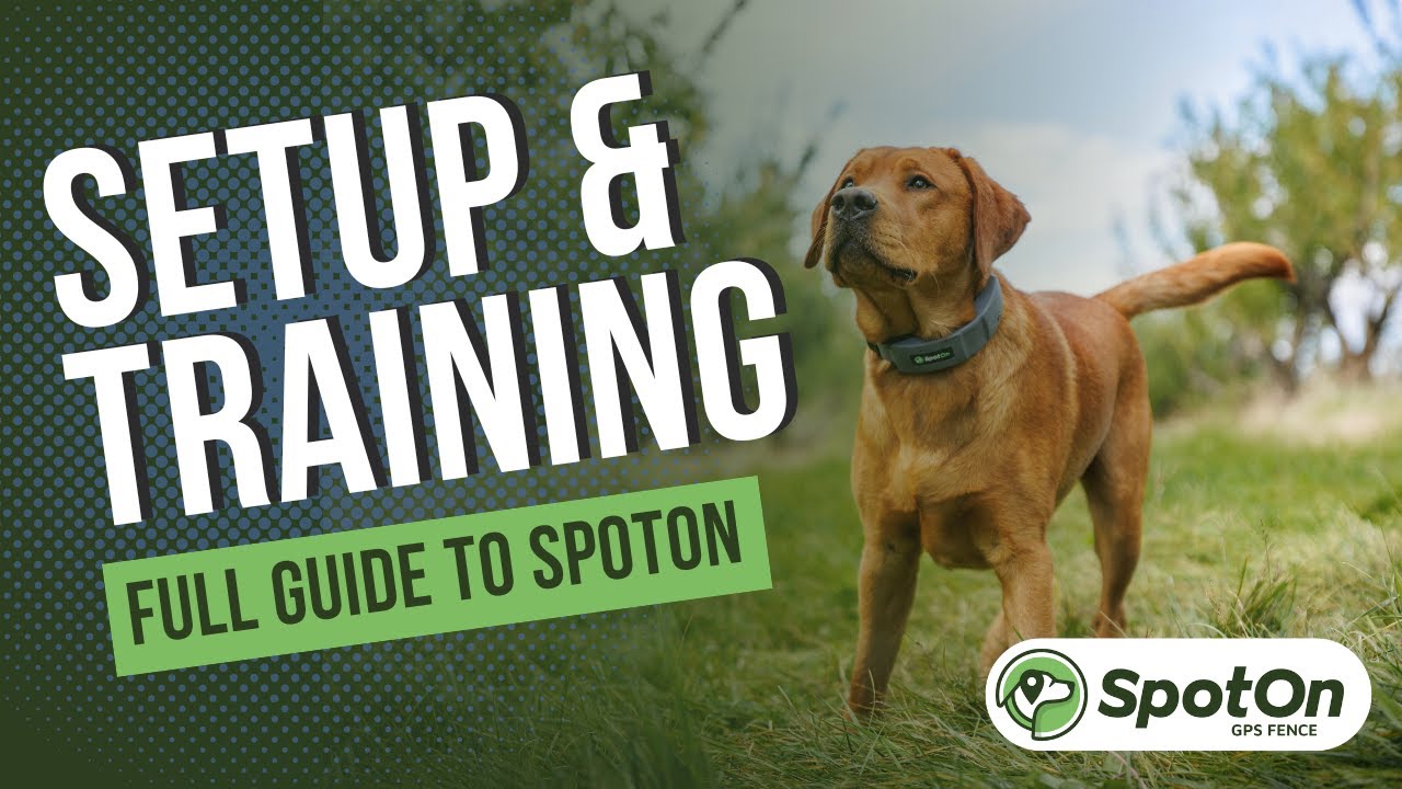 Getting Started with SpotOn: Training & Setup