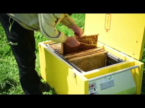 download lagu mp3 mp4 Beekeepers Handbook Pdf, download lagu Beekeepers Handbook Pdf gratis, unduh video klip Beekeepers Handbook Pdf