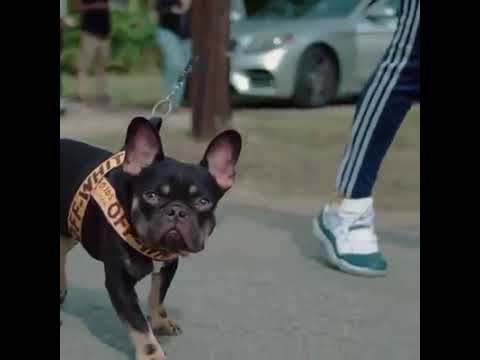 Trap boy Freddie it's up lil Quita