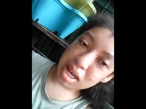 VJ awax x VJ ben -sorry