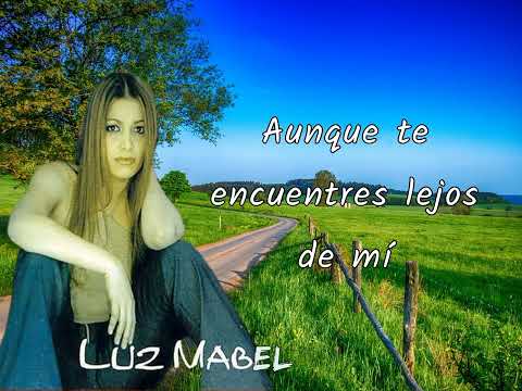 Te sigo amando - Luz Mabel - Vallenato[ karaoke ]